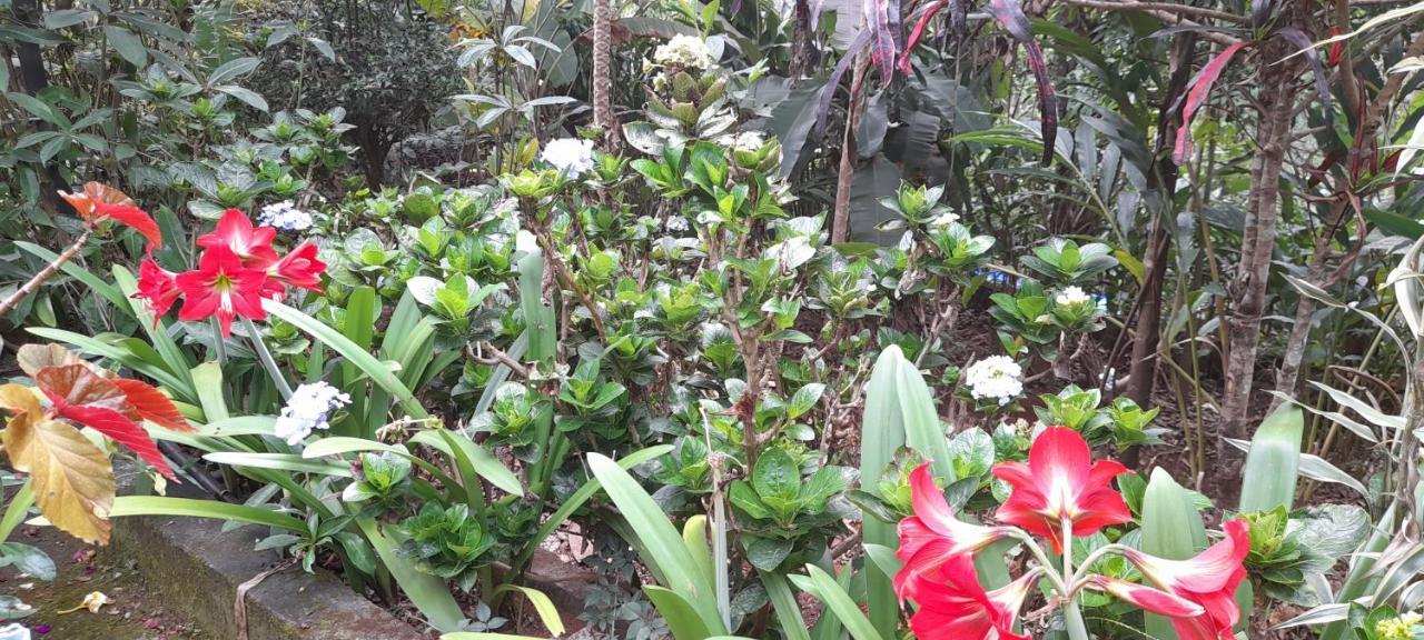 Anachal Le Farmhouse Munnar المظهر الخارجي الصورة