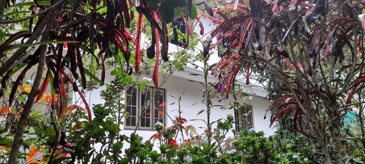 Anachal Le Farmhouse Munnar المظهر الخارجي الصورة