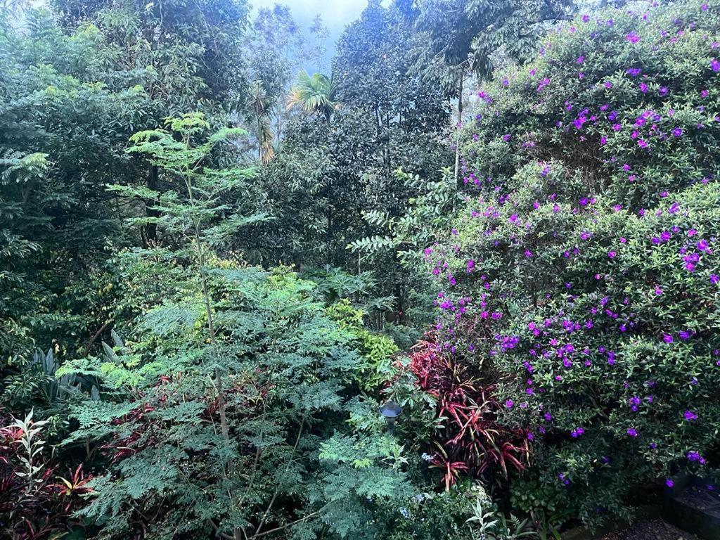 Anachal Le Farmhouse Munnar المظهر الخارجي الصورة